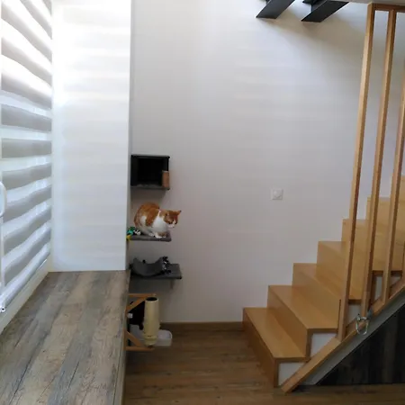Chambre Privee Dans Loft - Proche Europa Park & Marche De Noel בית אירוח *